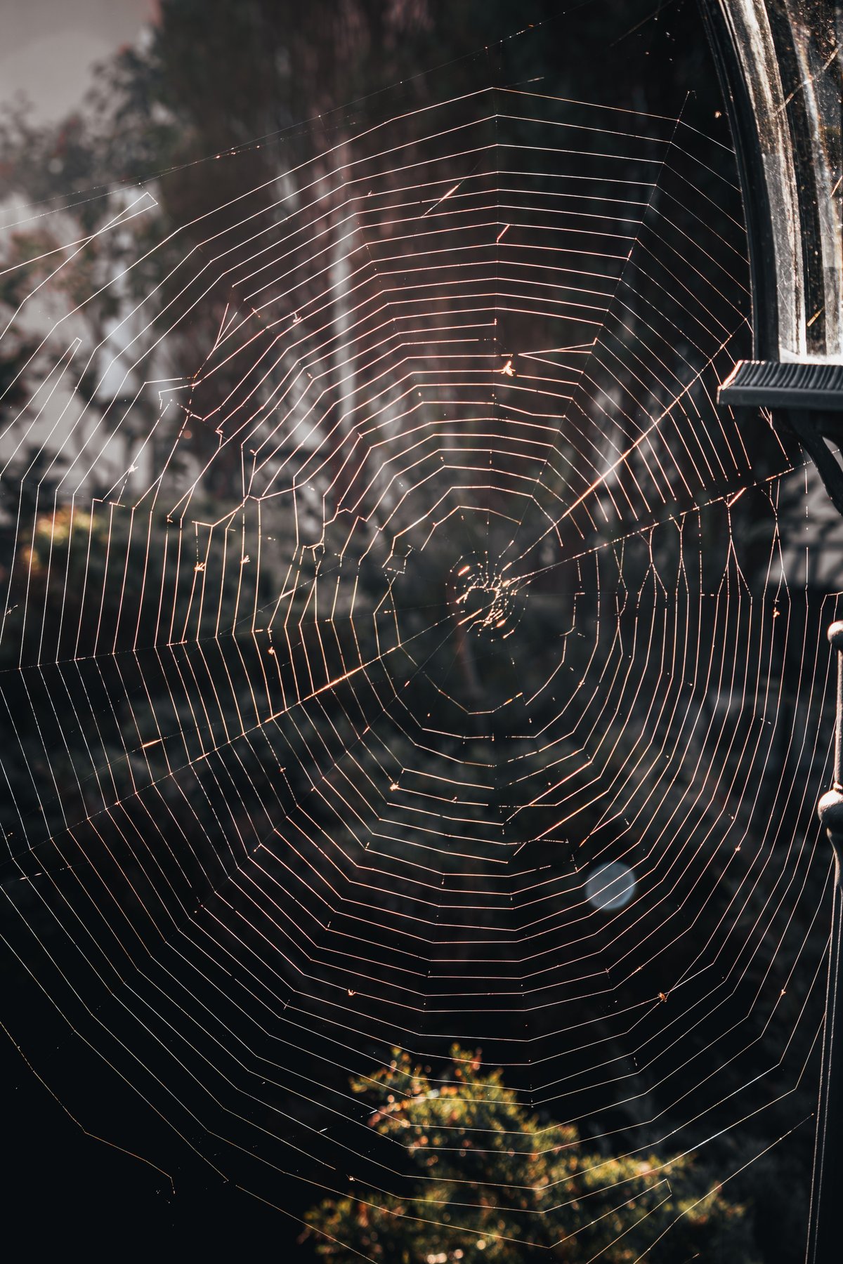 Large spider web woven on a pole showing spider activity on home exterior