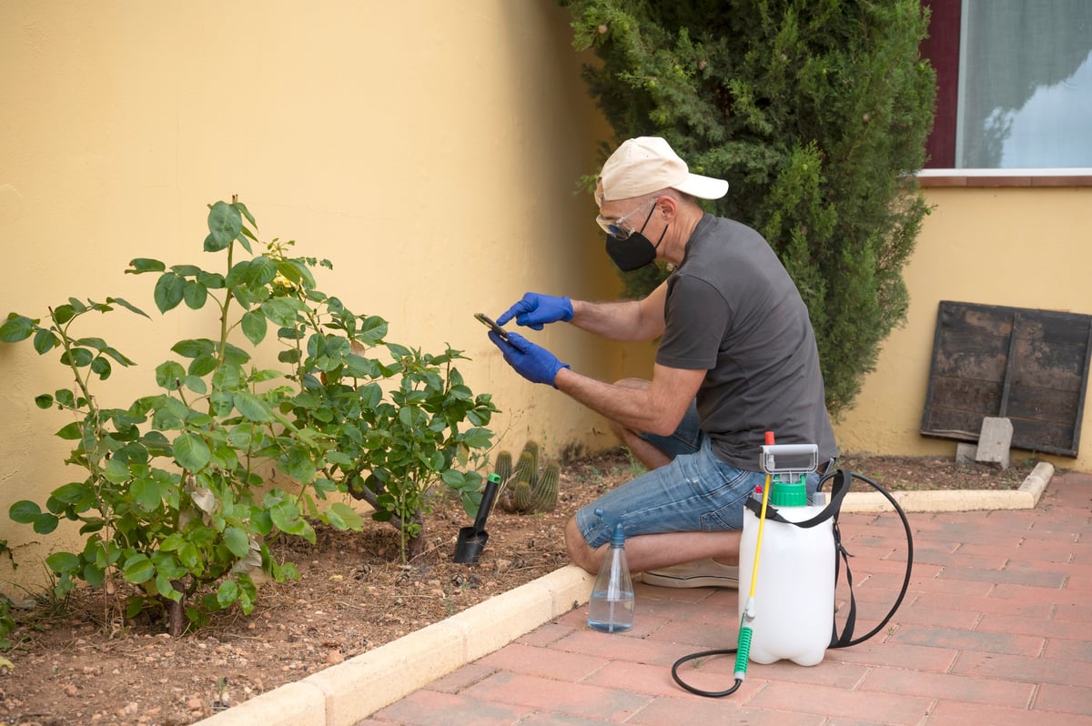 Professional pest control technician servicing commercial property for restaurant and business