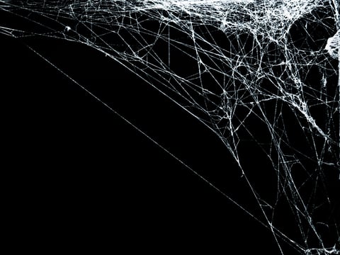 White threads of spider web on right angle corner close up view