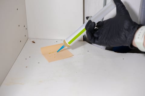 Close-up of a professionals gloved hand applying cockroach killing gel with an applicator onto a bait trap inside a cabinet